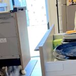 『うちの子だけ…？』冷蔵庫や食洗器を開けたら、2頭のハスキーが…共感を呼んだ『謎すぎる行動』が300万表示「猫みたいｗ」「うちもするｗ」(ブログ)