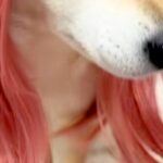 小さな女の子が犬をギャルにしようと『カツラを被せた』結果→思った以上の『仕上がり』が21万再生「想像の10倍似合ってて草」「美人ｗｗ」(ブログ)
