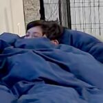 仕事前『息子と犬は何をしているかな』と家をカメラで確認した結果→寝てる息子に…まさかの『ガン見』に反響「カップルみたい」「きゃわいい」(ブログ)