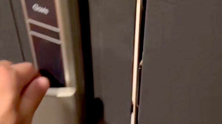 帰宅時、玄関のドアを開けると『子犬』が走ってきて…半端なく尊い『熱烈歓迎』が1447万再生「終電逃がしても帰るわ」「可愛すぎて泣きそう」(ブログ)