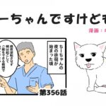 ちーちゃんですけどもっ【第356話】「夜の徘徊のお話」(ブログ)