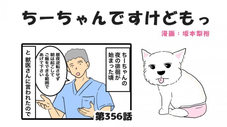 ちーちゃんですけどもっ【第356話】「夜の徘徊のお話」(ブログ)