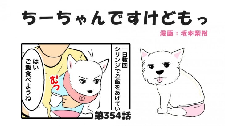 ちーちゃんですけどもっ【第354話】「毎回手こずる」(ブログ)