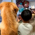 冷蔵庫を一緒にのぞく『5歳の男の子と大型犬』→3年後…素敵すぎる『成長した光景』が251万再生「温かい気持ちになる」「最高に微笑ましい」(ブログ)