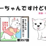 ちーちゃんですけどもっ【第357話】「皮下点滴の後で」(ブログ)