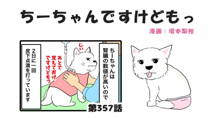ちーちゃんですけどもっ【第357話】「皮下点滴の後で」(ブログ)