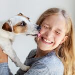 犬が飼い主に『甘えたい』ときにする行動6選　甘えんぼうなワンコの特徴や適切な対応まで(ブログ)