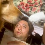 パパの上でじゃれあう『子猫と大型犬』→ガン見していたら、ワンコが…予想外だった展開が41万再生「おもろすぎｗｗ」「みんな可愛い」と爆笑(ブログ)