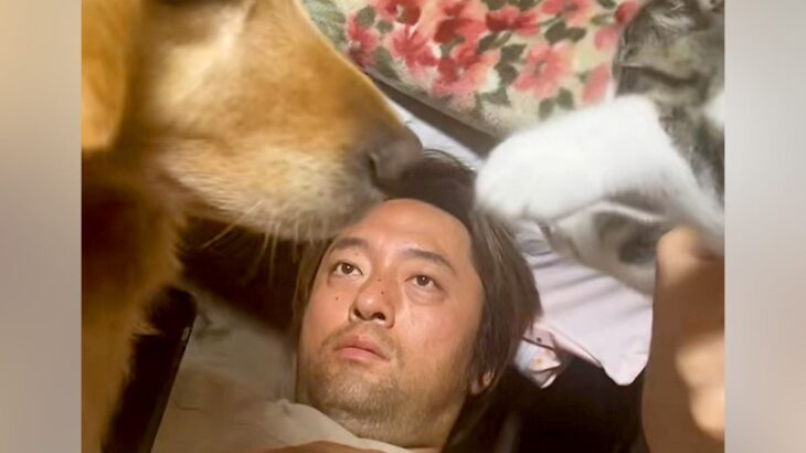 パパの上でじゃれあう『子猫と大型犬』→ガン見していたら、ワンコが…予想外だった展開が41万再生「おもろすぎｗｗ」「みんな可愛い」と爆笑(ブログ)