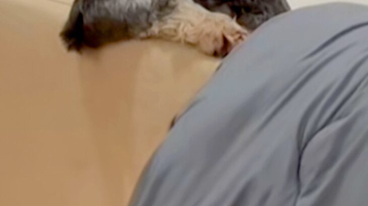 仕事で帰りが少し遅くなった結果→待っていた犬たちの『姿勢』が…思わず二度見する『まさかの光景』に爆笑の声「大物感あって草」「人間？ｗ」(ブログ)