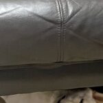 『犬を覗く時、犬もまた覗いている』ソファーの下でくつろぐワンコ→まるでホラー映画のような『表情』に1万いいね「目がｗｗ」「薄目で草」(ブログ)