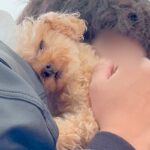 1週間、実家に犬を預けた結果→再会した瞬間に…相思相愛な『おかえりなさい！』が泣けてくると19万再生「涙が出た…」「無限に見れる」と絶賛(ブログ)