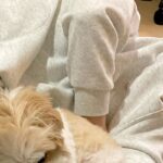 大はしゃぎしていた夫と犬→『急に静かになったな』と思い、覗いてみた結果…完全に燃え尽きた『表情』に反響「あしたのジョーで草」「可愛いｗ」(ブログ)