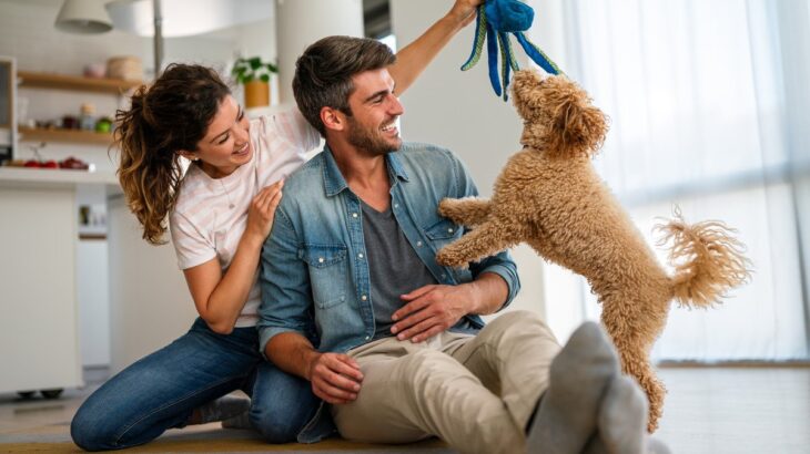 犬が喜ぶ『飼い主の行動』5選　嬉しいときにみせる仕草や今よりもっと仲良くなるコツまで(ブログ)