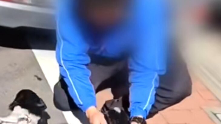 大好きな『佐川急便のお兄さん』を見つけた犬たち→一目散に駆け寄って…あまりにも尊い『相思相愛な光景』に反響「癒された」「疲れ吹っ飛ぶ」(ブログ)