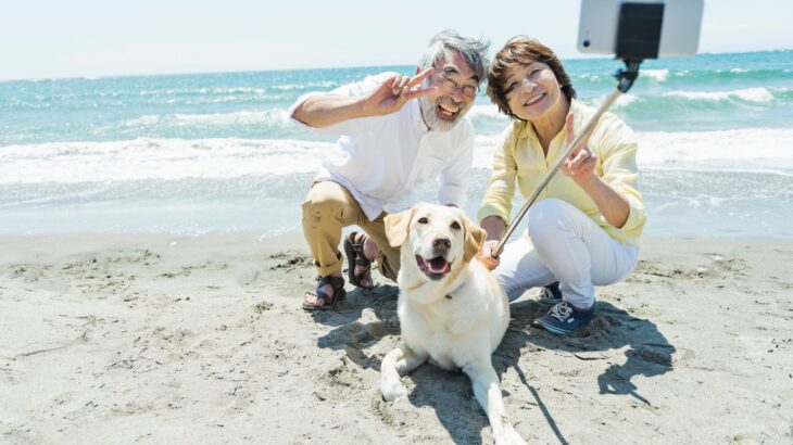 犬を『スマホで撮影』飼い主の絶対NG行為3選　誤った認識が愛犬の体に負担となることも(ブログ)