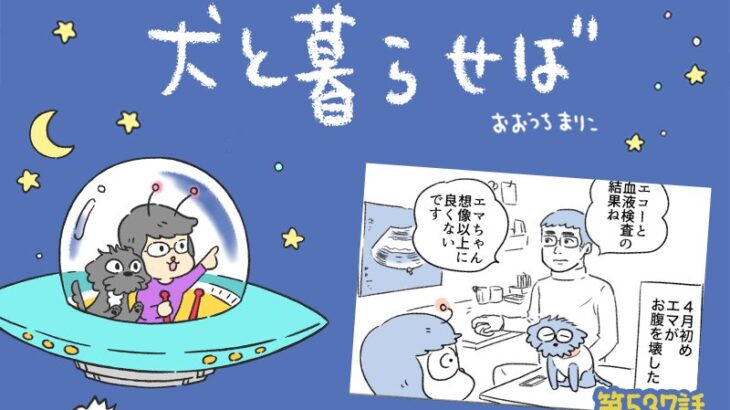 犬と暮らせば【第537話】「予期せぬサクラ」(ブログ)
