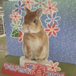 『うさフェスタ春2026』レポート　PART1(ブログ)