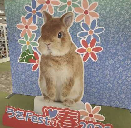 『うさフェスタ春2026』レポート　PART1(ブログ)