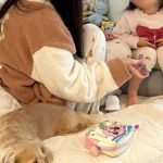 女の子の爪を切っていたら、犬が『構ってもらえない』と拗ねて…100点満点の『困り顔』に11万いいね「ディズニー感ｗ」「反則的な可愛さ」(ブログ)