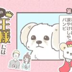 うちの王様にはどうしても抗えない【第351話】「目やに問題」(ブログ)