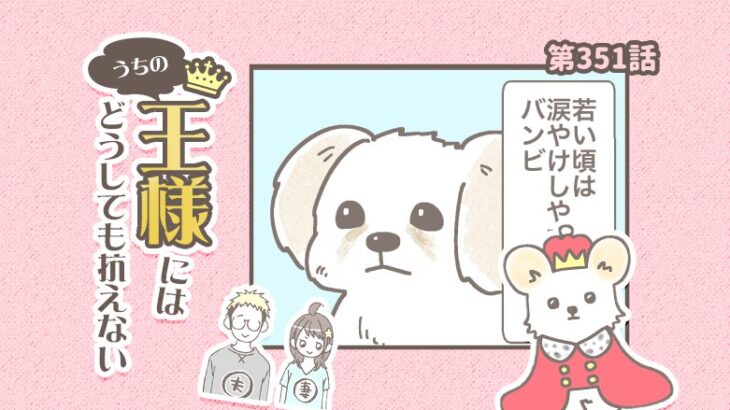 うちの王様にはどうしても抗えない【第351話】「目やに問題」(ブログ)