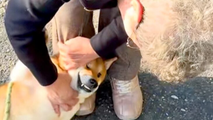 隣に住むおばあちゃんのことが大好きな犬→散歩中に出会った結果…大好きが溢れた『尊すぎる光景』に反響「いいなあ」「声が落ち着くのかな？」(ブログ)