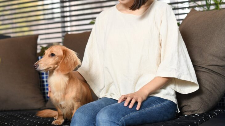 犬を『触ってはいけない瞬間』６選　タイミングを間違えると信頼関係が崩壊するかも…(ブログ)