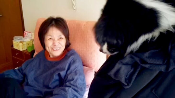 『犬が大好きだった母』難病を患って、この世を去ってしまい…亡くなる直前までの『記録』に涙「優しくていい笑顔」「心が温まる」と12万再生(ブログ)