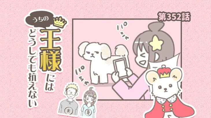 うちの王様にはどうしても抗えない【第352話】「美形すぎる」(ブログ)
