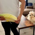 ガン手術を乗り越え、退院した犬→お祝いに『大好きな白菜』を用意した結果…涙腺崩壊する光景が133万再生「私が白菜育てる」「泣いてしまう」(ブログ)