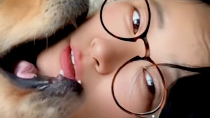 『毎朝、3匹の大型犬に起こされる』という女性→優しく起こすのかと思ったら…想像を絶する『目覚まし』が13万再生「幸せな朝ｗ」「羨ましい」(ブログ)