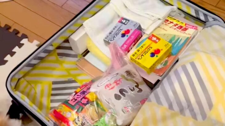 留学することになった娘→荷造りをしていたら、犬が…あまりにも尊い行動が438万再生「行く気満々で草」「一番かわいいシンデレラフィットｗ」(ブログ)
