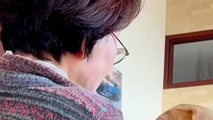 『犬はもういい。またいなくなるのが怖い。』と反対していたおばあちゃん…涙あふれる『現在までの軌跡』に反響「わかる…」「出会えて良かった」(ブログ)