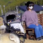 『変装した母が道端にいたら、大型犬たちは気付くのか？』を検証→絶対にわかると思ったら…まさかの結末が23万再生「残念すぎｗｗ」「可愛い」(ブログ)