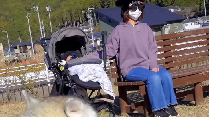『変装した母が道端にいたら、大型犬たちは気付くのか？』を検証→絶対にわかると思ったら…まさかの結末が23万再生「残念すぎｗｗ」「可愛い」(ブログ)