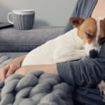 犬を『人間扱い』するリスク5つ　なぜ人と同じように接してはいけないの？(ブログ)