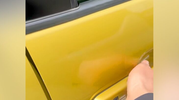 犬を連れてドライブ→買い物のため車を離れたら、運転席にいて…ジワジワくる『まさかの光景』が20万再生「容疑者で草」「モザイク犬ｗｗ」(ブログ)