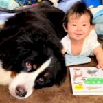 生後4ヶ月の赤ちゃんと8歳の超大型犬→いつも近くで見守って…愛おしすぎる『ふたりの記録』に反響「お互い通じ合ってる」「ずっと見てられる」(ブログ)
