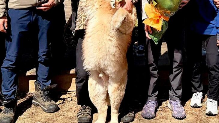 実家にて、大人数で記念撮影→一緒に『大型犬』も参加して…あまりにも可愛い『表情』に34万いいねの大反響「完全に主役で草」「いい笑顔だ」(ブログ)