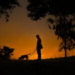 夜に愛犬を散歩させるときの『絶対NG行為』4選　安全に歩くための対策とは？(ブログ)