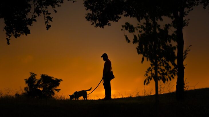 夜に愛犬を散歩させるときの『絶対NG行為』4選　安全に歩くための対策とは？(ブログ)