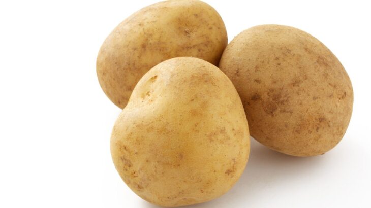 犬は『じゃがいも』を食べても大丈夫？与える際の絶対NG行為や注意点まで(ブログ)