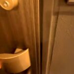 家に帰りドアを開けると、いつも犬が『おかえり』と駆け寄ってきて…あまりにも愛おしい『寝起きでのお出迎え』が42万再生「疲れも吹き飛ぶ」(ブログ)