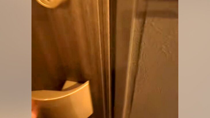 家に帰りドアを開けると、いつも犬が『おかえり』と駆け寄ってきて…あまりにも愛おしい『寝起きでのお出迎え』が42万再生「疲れも吹き飛ぶ」(ブログ)