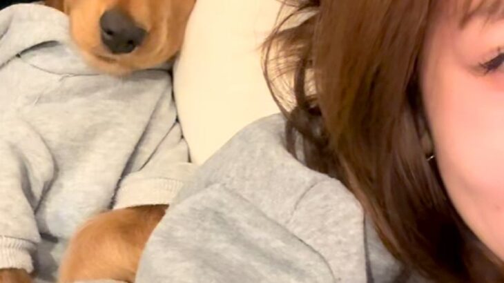 ソファで転がっていたら、添い寝しにきた犬→『嬉しいな』と寝顔を見てみたら…『衝撃的な表情』が14万再生「落花生みたいで草」「貴重な顔ｗ」(ブログ)