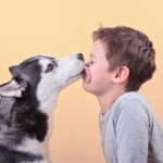 犬とのキスが『危険な理由』とは？見直すべきスキンシップや注意点まで(ブログ)