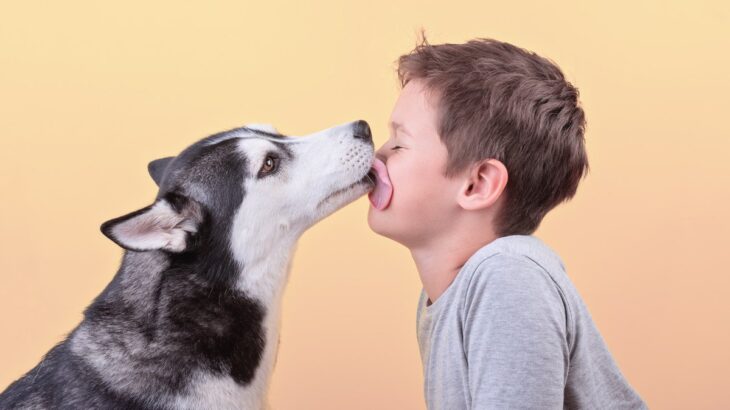 犬とのキスが『危険な理由』とは？見直すべきスキンシップや注意点まで(ブログ)