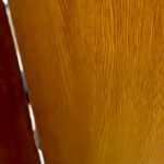 トイレに入っていたら、大型犬に閉じ込められてしまった男性→ドアの隙間を覗くと…『衝撃的な光景』が27万再生「共犯者いて草」「大爆笑ｗｗ」(ブログ)