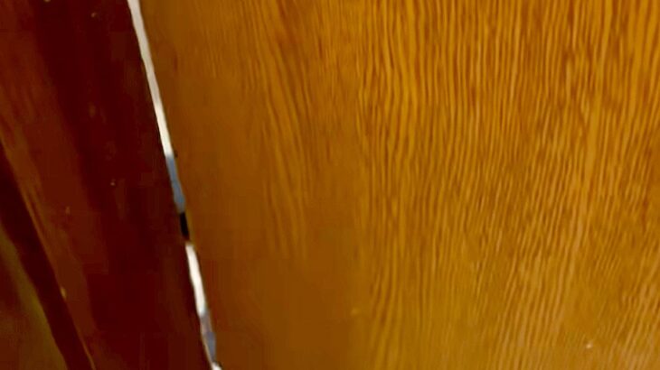 トイレに入っていたら、大型犬に閉じ込められてしまった男性→ドアの隙間を覗くと…『衝撃的な光景』が27万再生「共犯者いて草」「大爆笑ｗｗ」(ブログ)